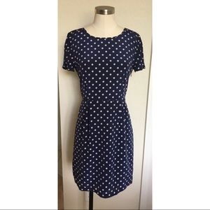 Madewell silk fit n flare dress